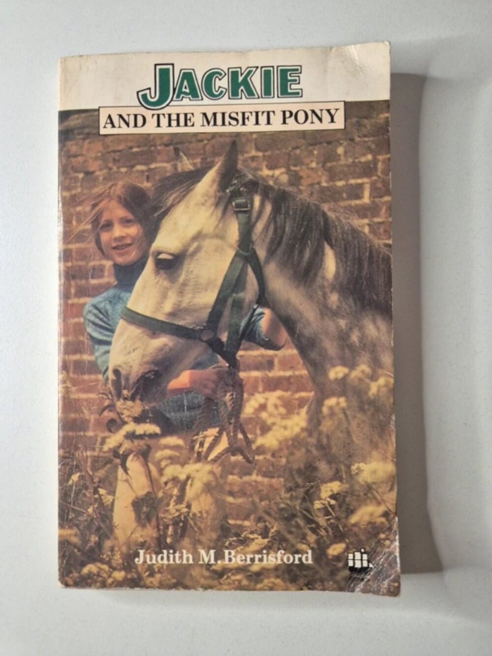 Jackie and the Misfit Pony by Judith M Berrisford